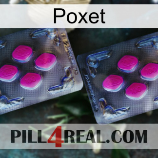 Poxet 01